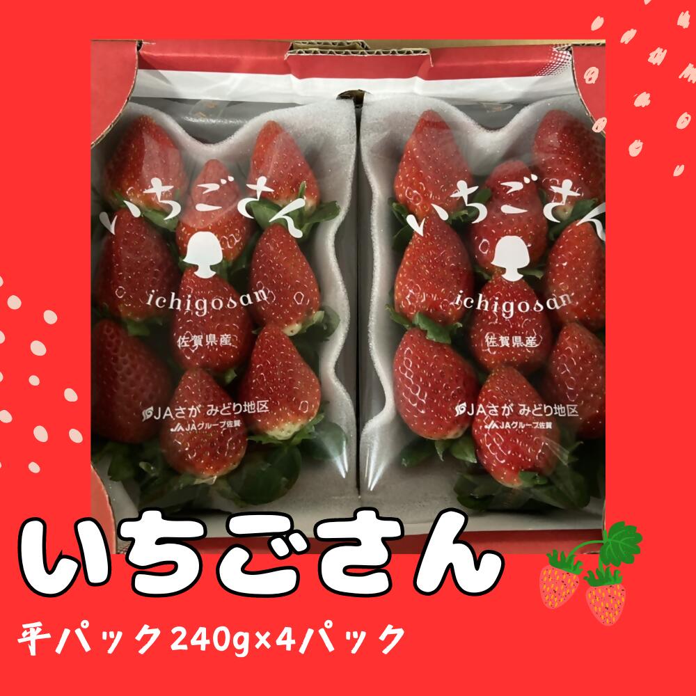 N-205 いちごさん　平パック　240g×4パック 苺 いちご フルーツ 果物