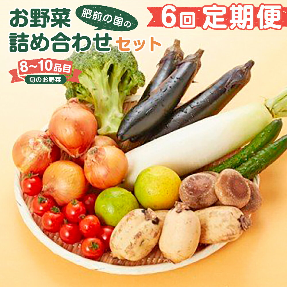 【6回定期便】鮮度抜群！肥前の国のお野菜詰め合わせセット（8〜10品目） 野菜セット 野菜盛り合わせ 野菜ミックス 野菜ギフト 野菜 旬のお野菜 旬のくだもの 新鮮野菜 定期便 佐賀県 太良町 Q-49