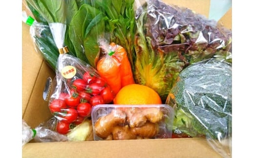 【ふるさと納税】肥前の国のお野菜詰め合わせセット（8〜10品目）| 野菜セット 旬 フレッシュ 鮮度抜群 8品 10品 チョイス 詰め合わせ 野菜便 国産野菜 季節の野菜（シイタケ、タマネギ、レンコン、ミニトマト、キュウリ、サツマイモなど） 佐賀県 太良町 L-37 - 画像3