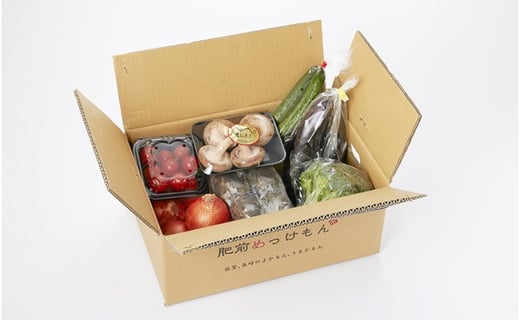 【ふるさと納税】肥前の国のお野菜詰め合わせセット（8〜10品目）| 野菜セット 旬 フレッシュ 鮮度抜群 8品 10品 チョイス 詰め合わせ 野菜便 国産野菜 季節の野菜（シイタケ、タマネギ、レンコン、ミニトマト、キュウリ、サツマイモなど） 佐賀県 太良町 L-37 - 画像2