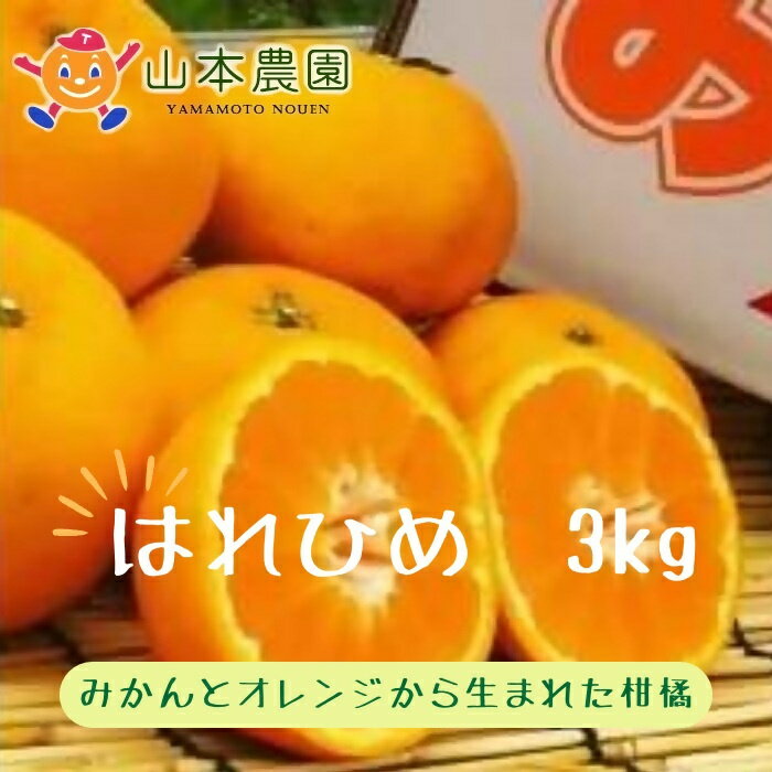 L-69 山本農園のはれひめ 3kg