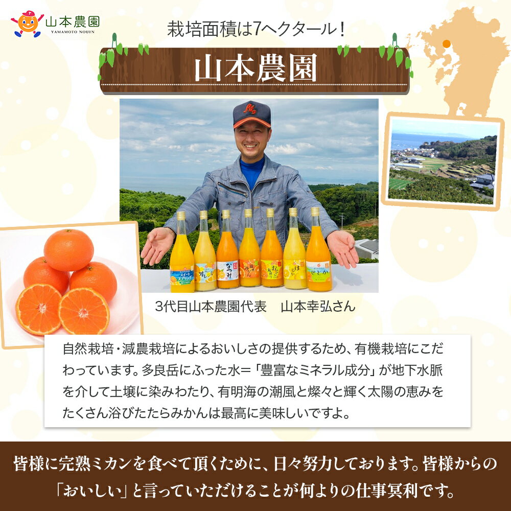 【ふるさと納税】L-13 山本農園の甘熟みかん5kg　みかん ミカン 蜜柑 温州みかん 完熟みかん 甘熟 柑橘 有機栽培 国産 佐賀県産 太良町 こだわり 贈答品 産地直送 詰め合わせ サムネイル2