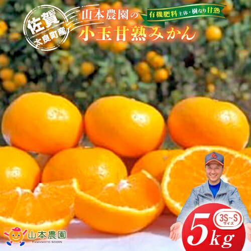L-12 山本農園の小玉甘熟みかん 5kg　みかん ミカン 蜜柑 日南 上野 太幸 佐世保早生 石地 温州みかん 完熟みかん 甘熟みかん 国産 佐賀県産 太良町 こだわり 産地直送 詰め合わせ 小玉 有機肥料 期間限定