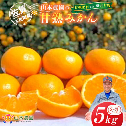 L-13 山本農園の甘熟みかん5kg　みかん ミカン 蜜柑 温州みかん 完熟みかん 甘熟 柑橘 有機栽培 国産 佐賀県産 太良町 こだわり 贈答品 産地直送 詰め合わせ