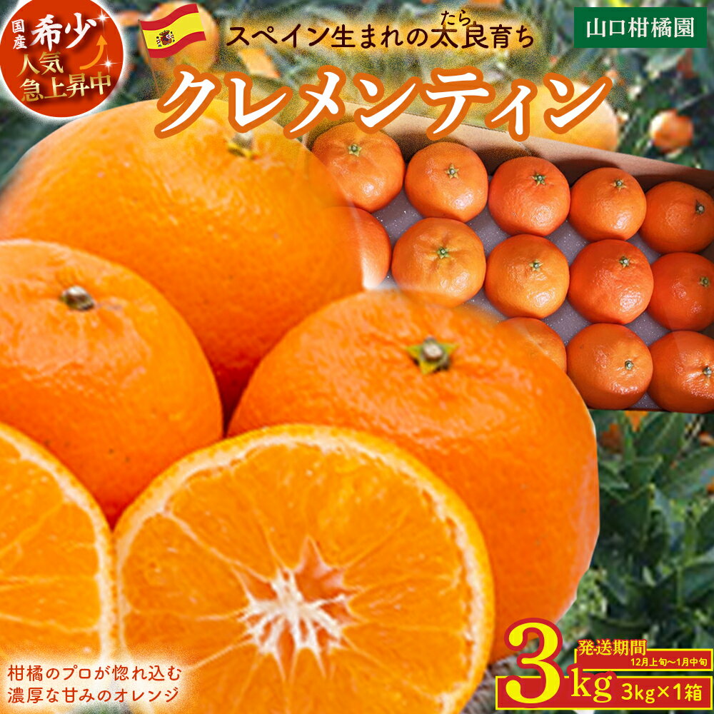 スペイン生まれのたら育ちクレメンティン 3kg クレメンティン みかん 柑橘 国産 オレンジ マンダリン 希少 ジューシー 佐賀県 太良町 M85