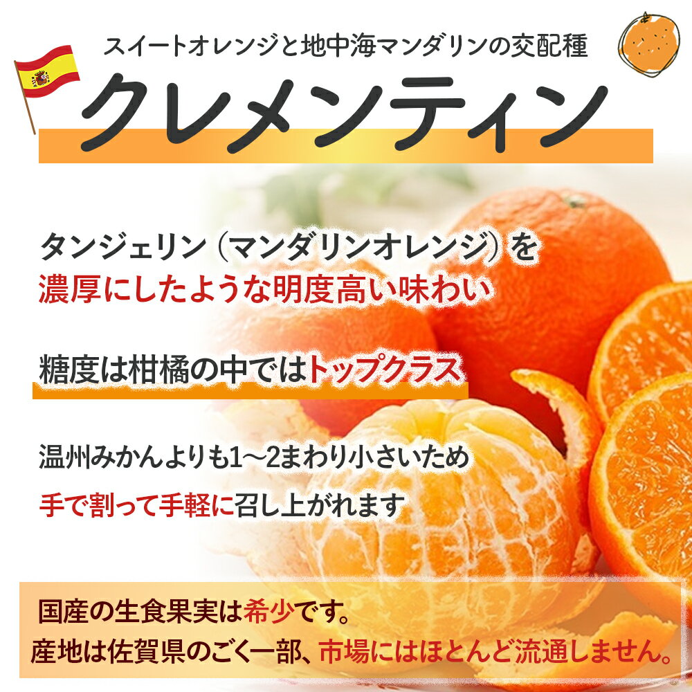 【ふるさと納税】スペイン生まれのたら育ちクレメンティン 3kg クレメンティン みかん 柑橘 国産 オレンジ マンダリン 希少 ジューシー 佐賀県 太良町 M85 サムネイル2