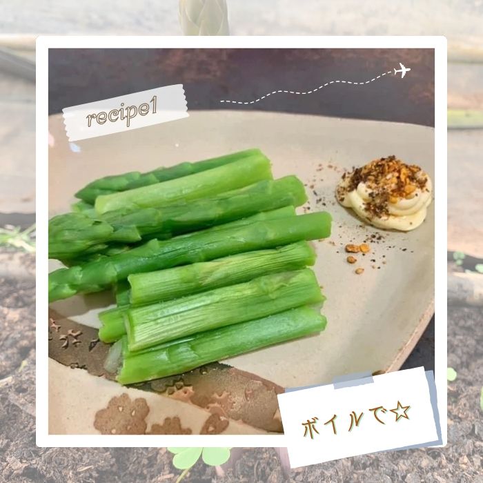 【ふるさと納税】N-244 朝採れアスパラガス700g 朝採れ即発送「明日はパラダイス」 アスパラ アスパラガス 700g シャキシャキ 食感 グリーンアスパラガス 新鮮 産地直送 野菜 冷蔵 みずみずしい 朝とれ 朝採れ 生野菜 太良町 佐賀 - 画像3