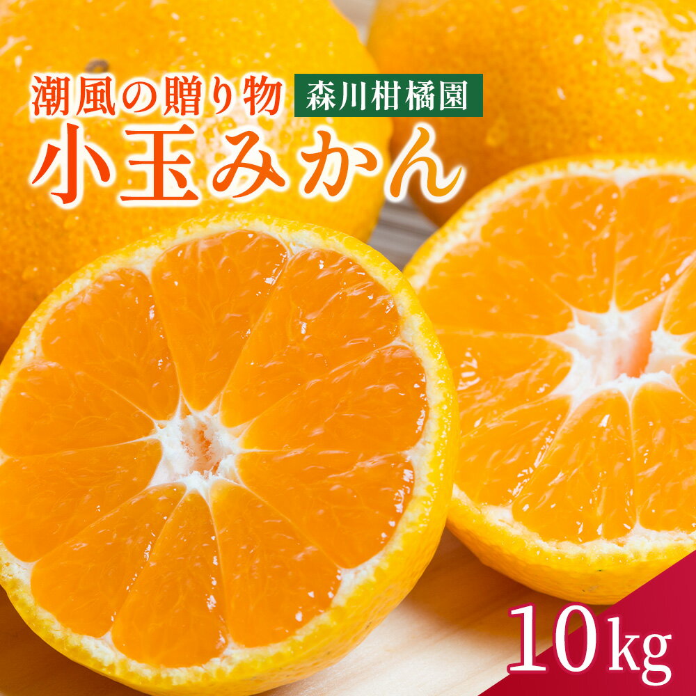 NB-27 潮風の贈り物 みかん（小玉）10kg　みかん ミカン 蜜柑 たらみかん 太良みかん 温州みかん 紅みかん 完熟みかん 甘熟 柑橘 国産 佐賀県産 太良町 こだわり 有機栽培 産地直送 贈答品 詰め合わせ 極甘 小玉