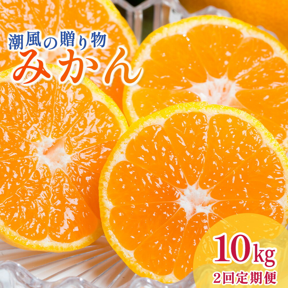 潮風の贈り物（みかん）10kg【2回定期便】　みかん ミカン 蜜柑 たらみかん 太良みかん 温州みかん 完熟みかん 甘熟 柑橘 国産 佐賀県産 太良町 こだわり 有機栽培 産地直送 贈答品 詰め合わせ 極甘 定期便 P82