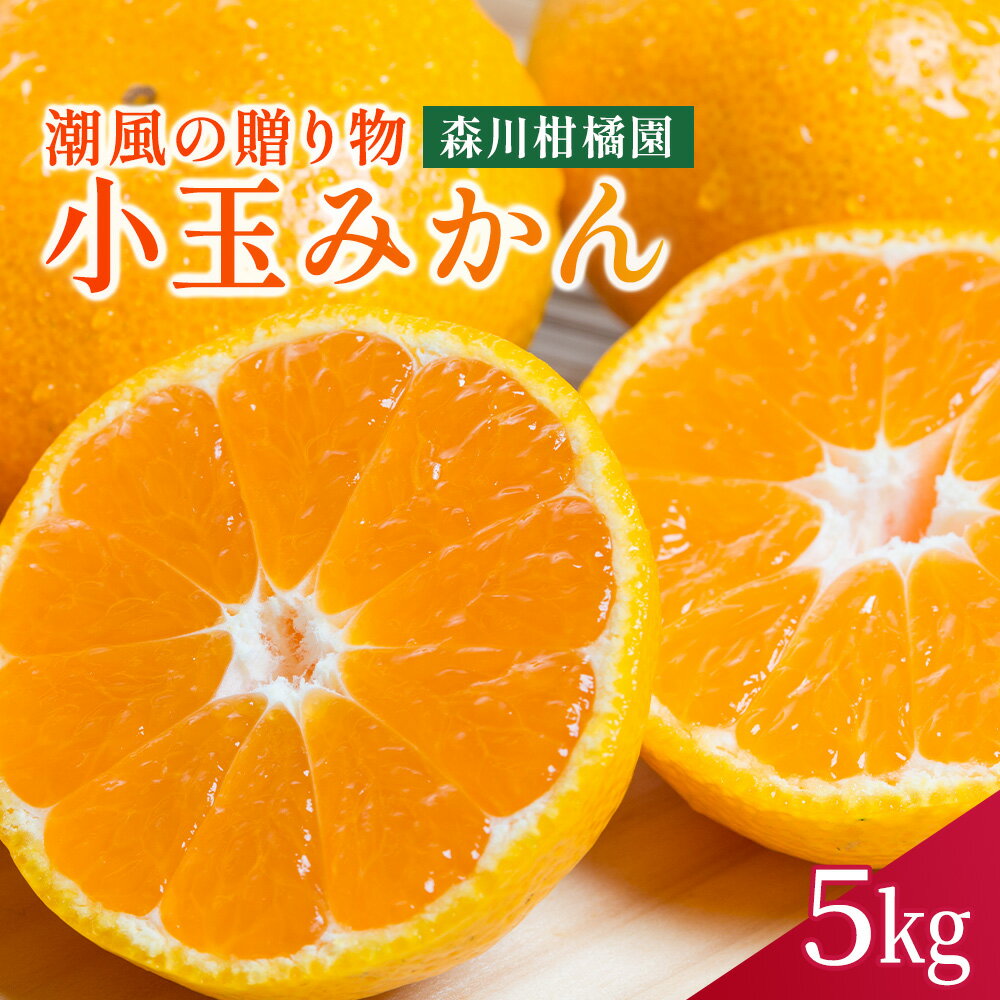 L-18 潮風の贈り物 みかん（小玉) 5kg　みかん ミカン 蜜柑 温州みかん 完熟みかん 甘熟 柑橘 有機栽培 国産 佐賀県産 太良町 こだわり 贈答品 産地直送 詰め合わせ 小玉