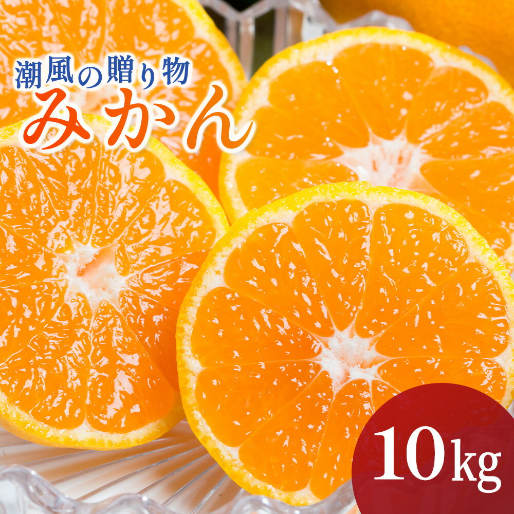潮風の贈り物 みかん 10kg みかん ミカン 蜜柑 たらみかん 太良みかん 温州みかん 完熟みかん 甘熟 柑橘 有機栽培 国産 佐賀県産 太良町 こだわり 贈答品 産地直送 詰め合わせ 極甘 N38