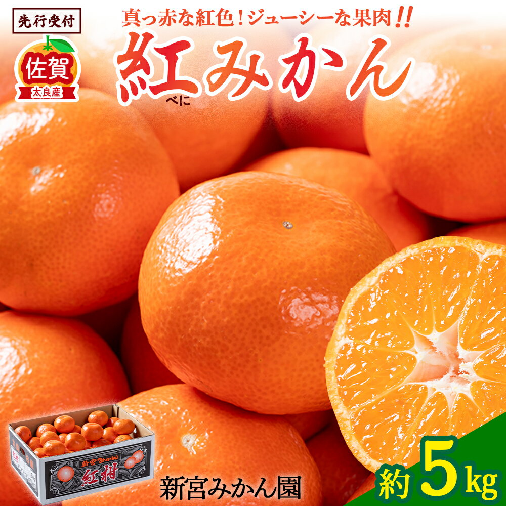 N-59 新宮みかん園 紅みかん 5kg みかん ミカン 蜜柑 柑橘 果物 フルーツ 人気 新鮮 先行予約 数量限定 温州みかん 完熟みかん 甘熟 国産 佐賀県 太良町 こだわり 産地直送 詰め合わせ