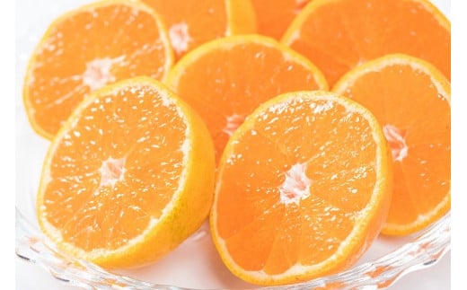 【ふるさと納税】Q-51 新宮みかん園のお楽しみ定期便　3回コース サムネイル2