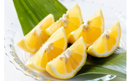 【ふるさと納税】Q-51 新宮みかん園のお楽しみ定期便　3回コース サムネイル3