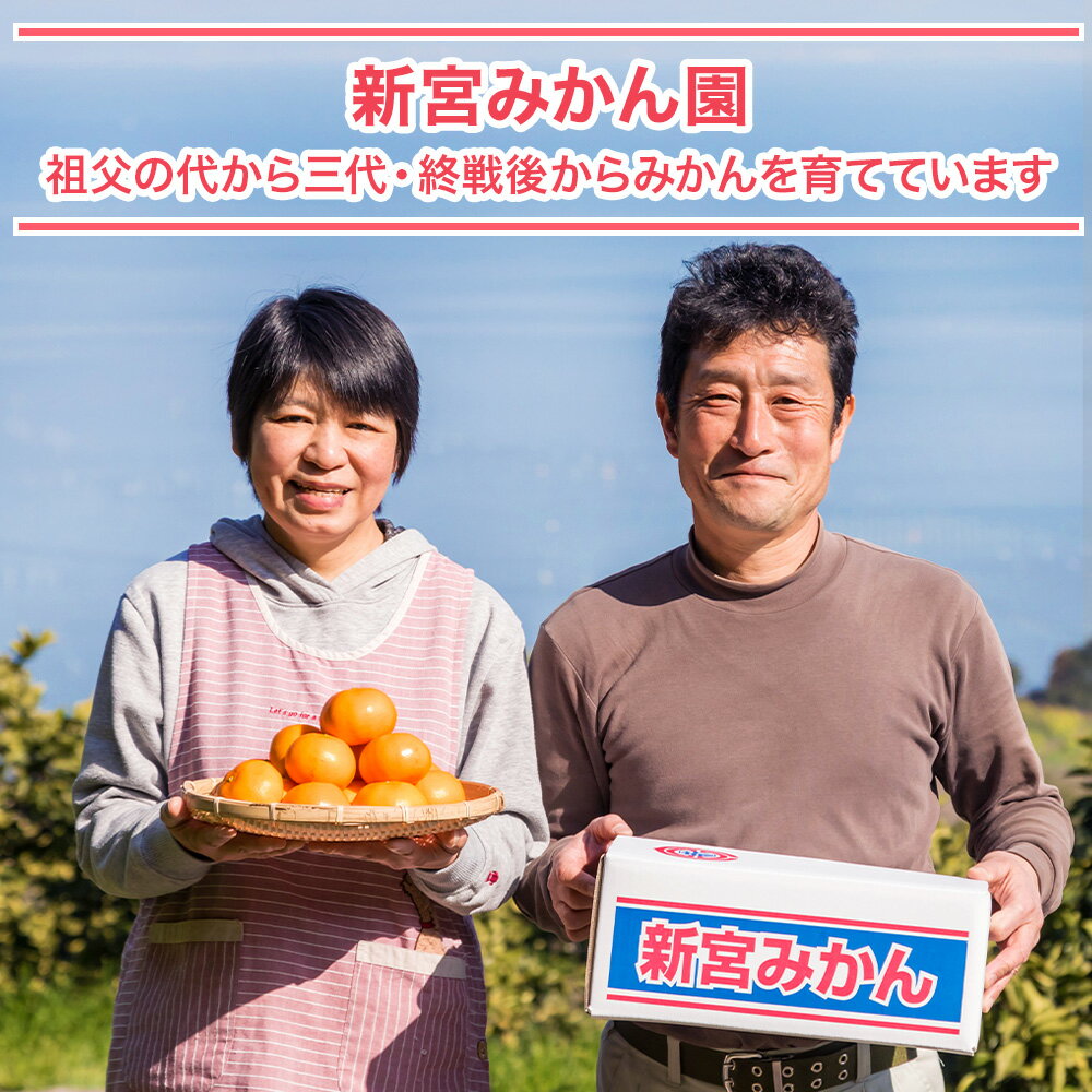 【ふるさと納税】N-59 新宮みかん園 紅みかん 5kg みかん ミカン 蜜柑 柑橘 果物 フルーツ 人気 新鮮 先行予約 数量限定 温州みかん 完熟みかん 甘熟 国産 佐賀県 太良町 こだわり 産地直送 詰め合わせ サムネイル2