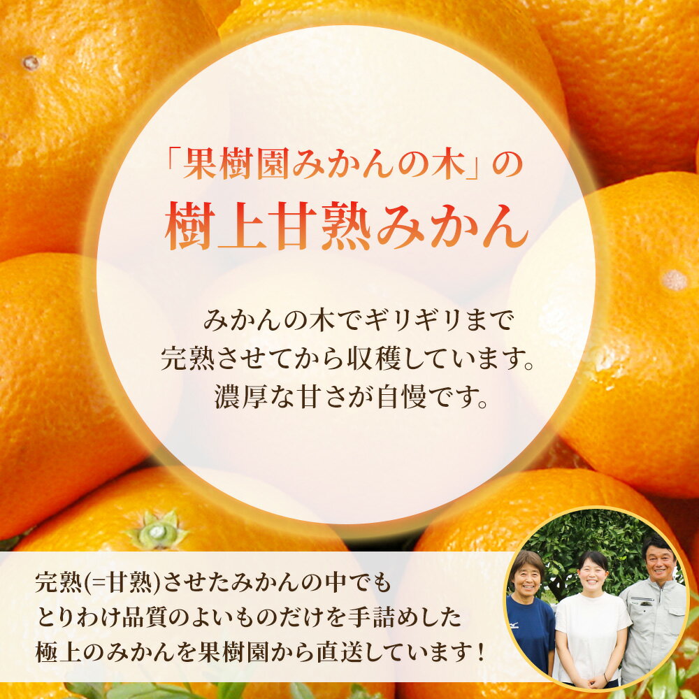 【ふるさと納税】果樹園みかんの木の旬のカンキツ詰合せ 約4kg 4〜5種類 みかん 詰め合わせ 柑橘類 柑橘 いよかん ポンカン みかん フルーツ くだもの 果物 佐賀県 太良町 M103 サムネイル2
