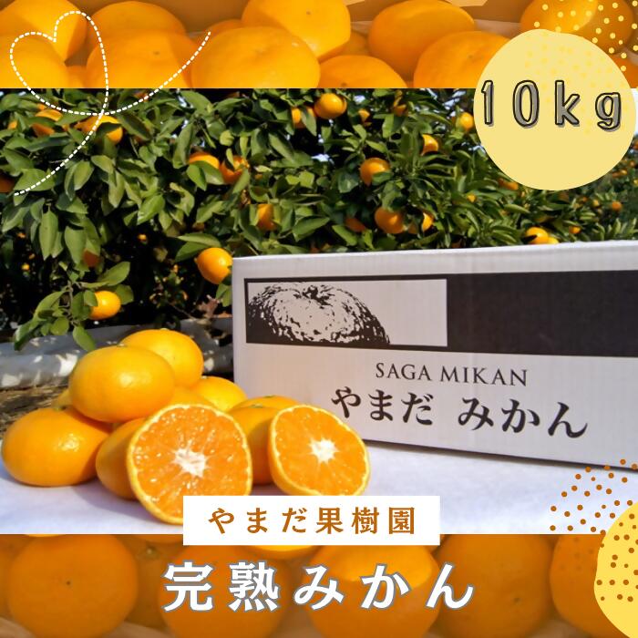 N-179 やまだ果樹園の完熟みかん　10kg　みかん ミカン 蜜柑 たらみかん 太良みかん 温州みかん 紅みかん 完熟みかん 甘熟 柑橘 国産 佐賀県産 太良町 こだわり 有機栽培 産地直送 贈答品 詰め合わせ 極甘