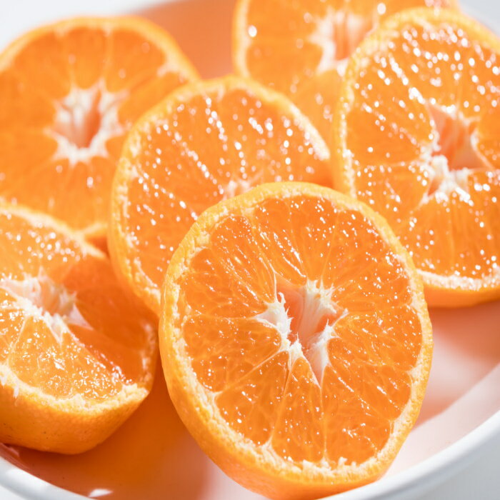 【ふるさと納税】【先行予約】辰見農園の完熟みかん 5kg | みかん ミカン 蜜柑 小玉 ふるさと納税 5kg 有明海 柑橘 甘い Sサイズ 完熟 果物 フルーツ 佐賀県 太良町 L90 サムネイル3