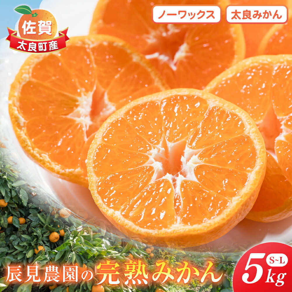 【先行予約】辰見農園の完熟みかん 5kg | みかん ミカン 蜜柑 小玉 ふるさと納税 5kg 有明海 柑橘 甘い Sサイズ 完熟 果物 フルーツ 佐賀県 太良町 L90