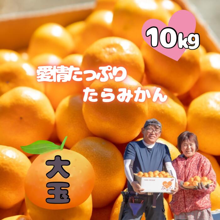 N-218 愛情たっぷりたらみかん（大玉）10kg