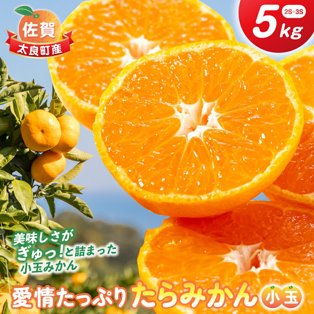 愛情たっぷりたらみかん（小玉）5kg　みかん ミカン 蜜柑 たらみかん 太良みかん 温州みかん 完熟みかん 甘熟 柑橘 国産 佐賀県産 太良町 こだわり 有機栽培 産地直送 贈答品 詰め合わせ 極甘 小玉 L126