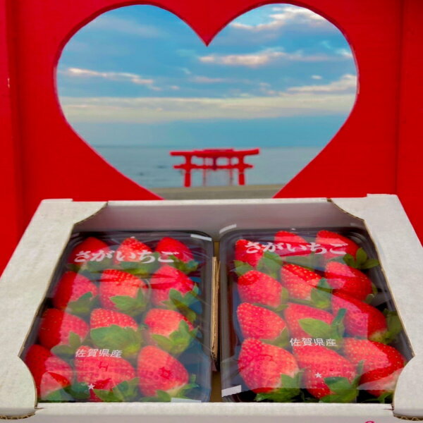 L-52 太良町産「かおりの」ソフトパック2P　生産者直送！朝採り苺！