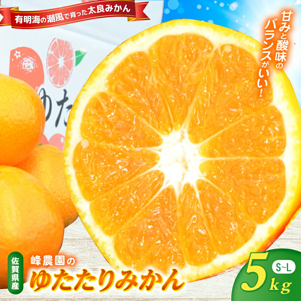 峰農園のゆたたりみかん 5kg 温州 みかん ミカン 蜜柑 温州蜜柑 温州ミカン フルーツ くだもの 果物 佐賀県 太良町 N253