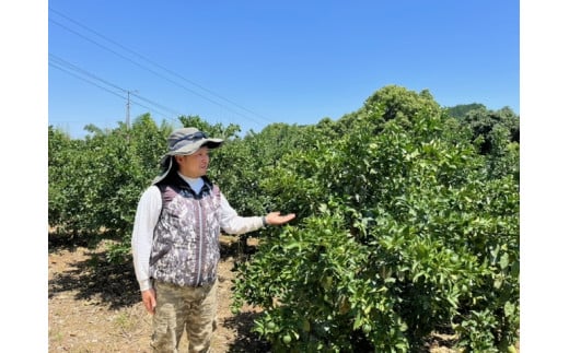 【ふるさと納税】LB-15 峰農園のゆたたりみかん（小玉） 5kg サムネイル2