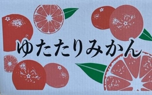 【ふるさと納税】峰農園のゆたたりみかん【石地みかん】10kg フルーツ 果物 くだもの 柑橘 みかん 佐賀県 太良町 NB14 サムネイル3