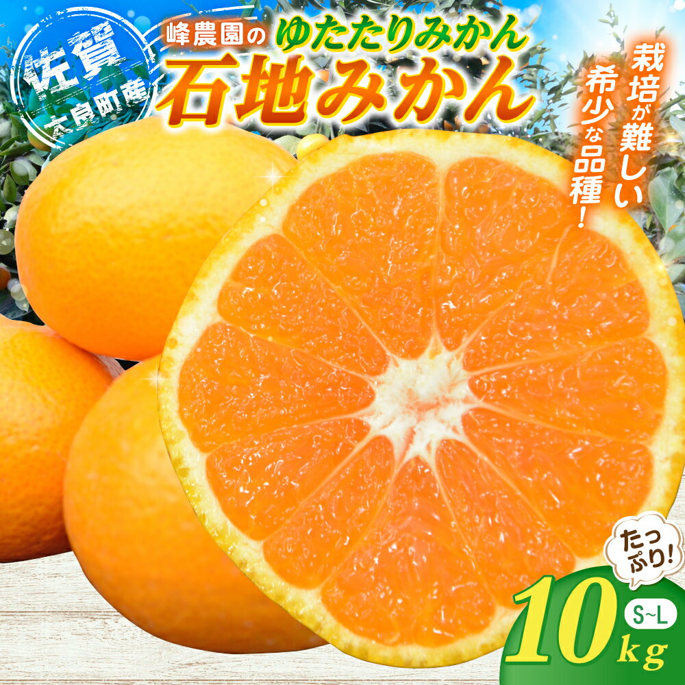 峰農園のゆたたりみかん【石地みかん】10kg フルーツ 果物 くだもの 柑橘 みかん 佐賀県 太良町 NB14