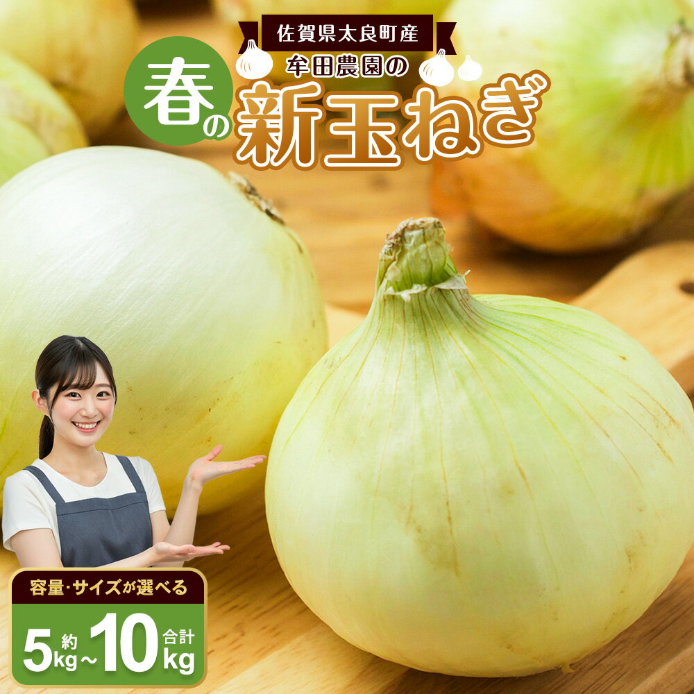 牟田農園の春の新玉ねぎ （5kg （S） ／ 5kg （S～L） ／ 5kg （2L） ／ 10kg （M~2L）） ＜選べる種類＞ 【2026年4月上旬～6月上旬迄順次発送予定】 たまねぎ タマネギ 野菜 新玉ねぎ 玉ねぎ 佐賀県 太良町 農家直送 送料無料