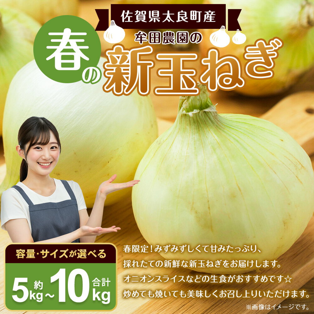 【ふるさと納税】牟田農園の春の新玉ねぎ （5kg （S） ／ 5kg （S～L） ／ 5kg （2L） ／ 10kg （M~2L）） ＜選べる種類＞ 【2026年4月上旬～6月上旬迄順次発送予定】 たまねぎ タマネギ 野菜 新玉ねぎ 玉ねぎ 佐賀県 太良町 農家直送 送料無料 - 画像2