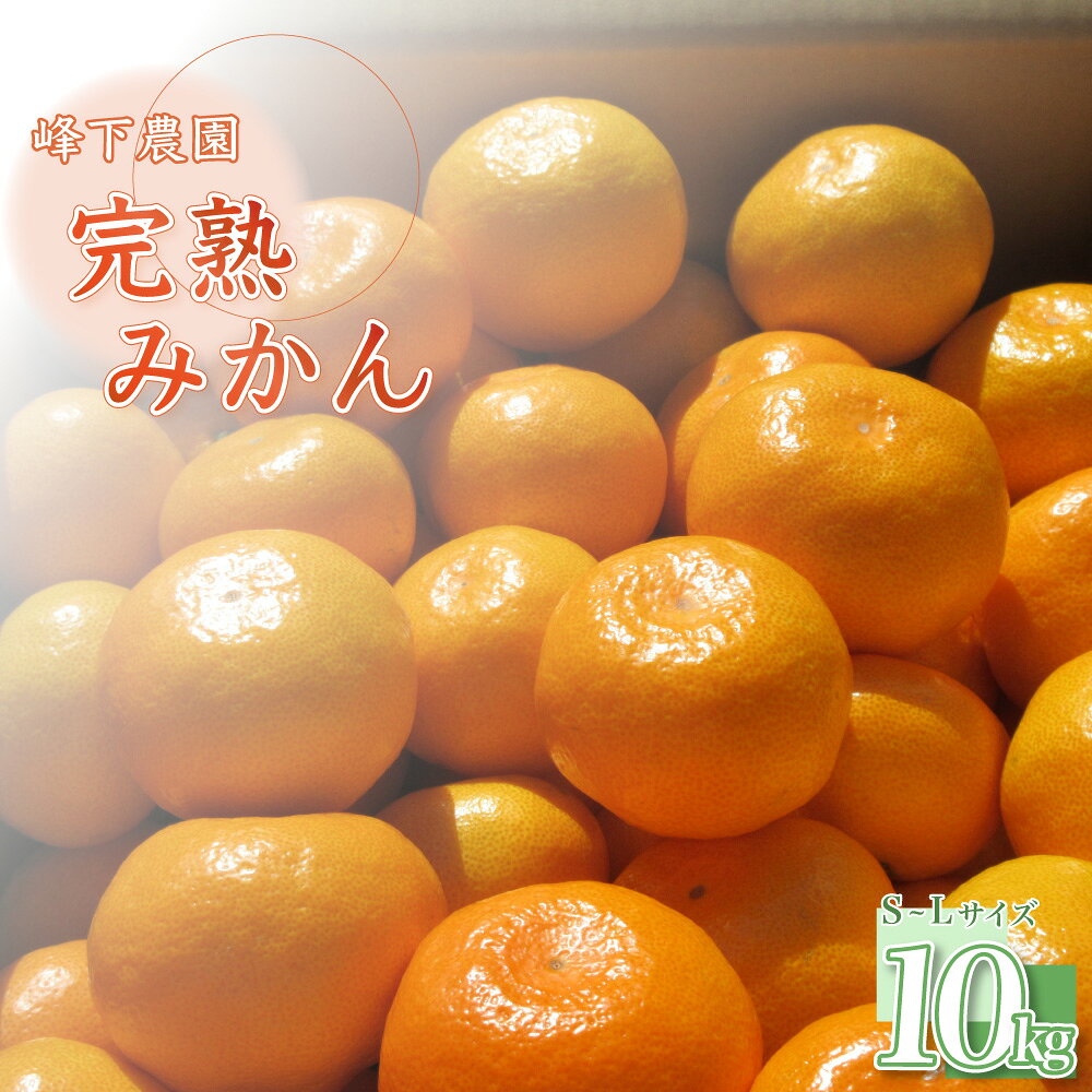 峰下農園の完熟みかん　10kg フルーツ 果物 くだもの 柑橘 みかん 佐賀県 太良町 N49