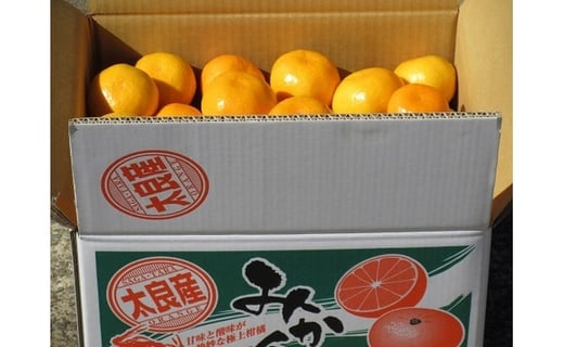 【ふるさと納税】峰下農園の完熟みかん　10kg フルーツ 果物 くだもの 柑橘 みかん 佐賀県 太良町 N49 サムネイル2