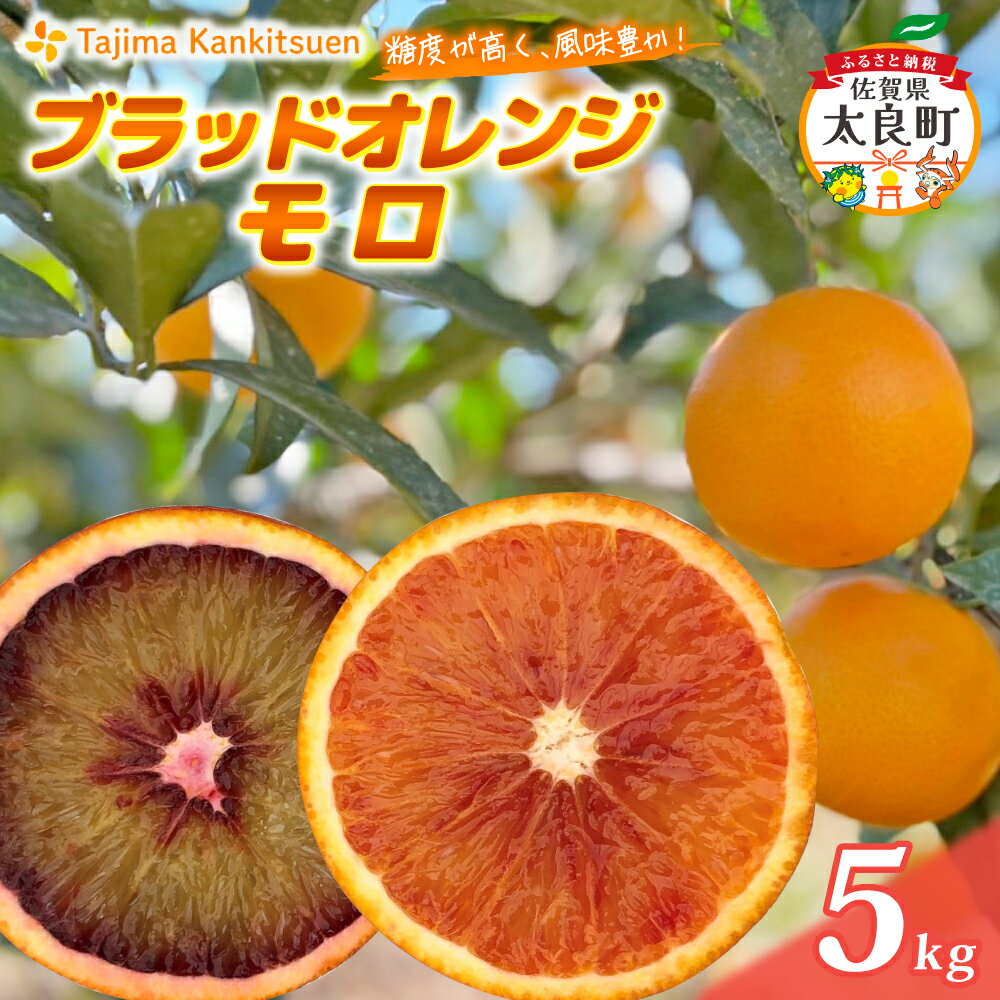 田島柑橘園&加工所のブラッドオレンジ(モロ)5kg　ミカン みかん ブラッドオレンジ モロ 果物 くだもの フルーツ 果実 柑橘 ブラッド オレンジ 蜜柑 佐賀県 太良町 O183