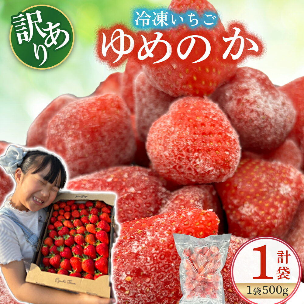 LB21 訳あり！太良町産「ゆめのか」冷凍いちご500g×1袋 佐賀県 太良町