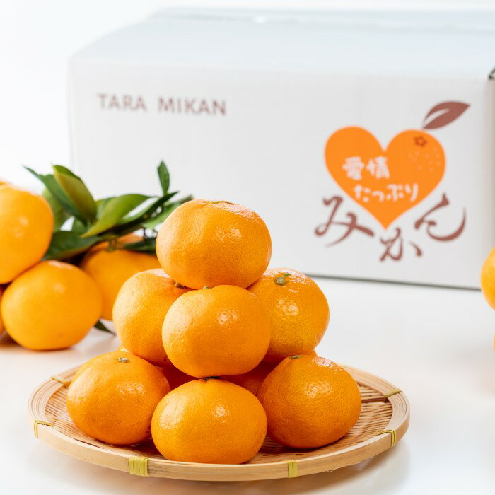L‐127 愛情たっぷりたらみかん 5kg