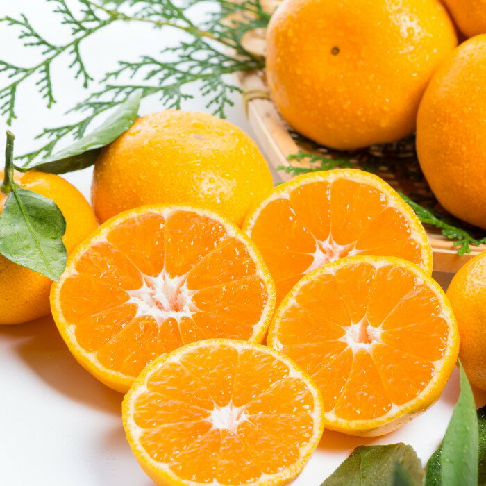 【ふるさと納税】L-19 潮風の贈り物　みかん 5kg　みかん ミカン 蜜柑 たらみかん 太良みかん 温州みかん 完熟みかん 甘熟 柑橘 国産 佐賀県産 太良町 こだわり 有機栽培 産地直送 贈答品 詰め合わせ 極甘 サムネイル2