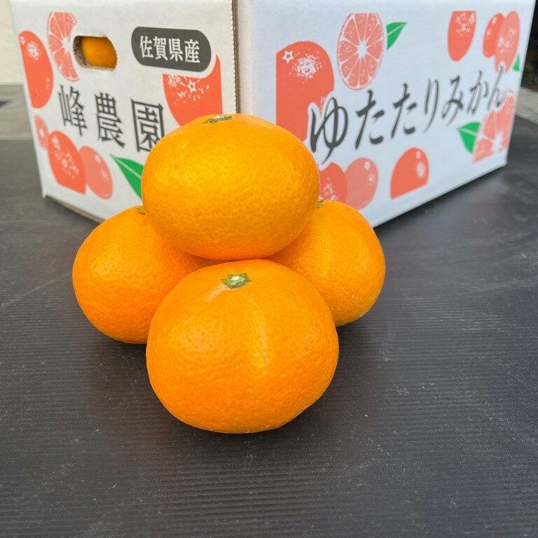【ふるさと納税】峰農園のゆたたりみかん 5kg 温州 みかん ミカン 蜜柑 温州蜜柑 温州ミカン フルーツ くだもの 果物 佐賀県 太良町 N253 サムネイル2