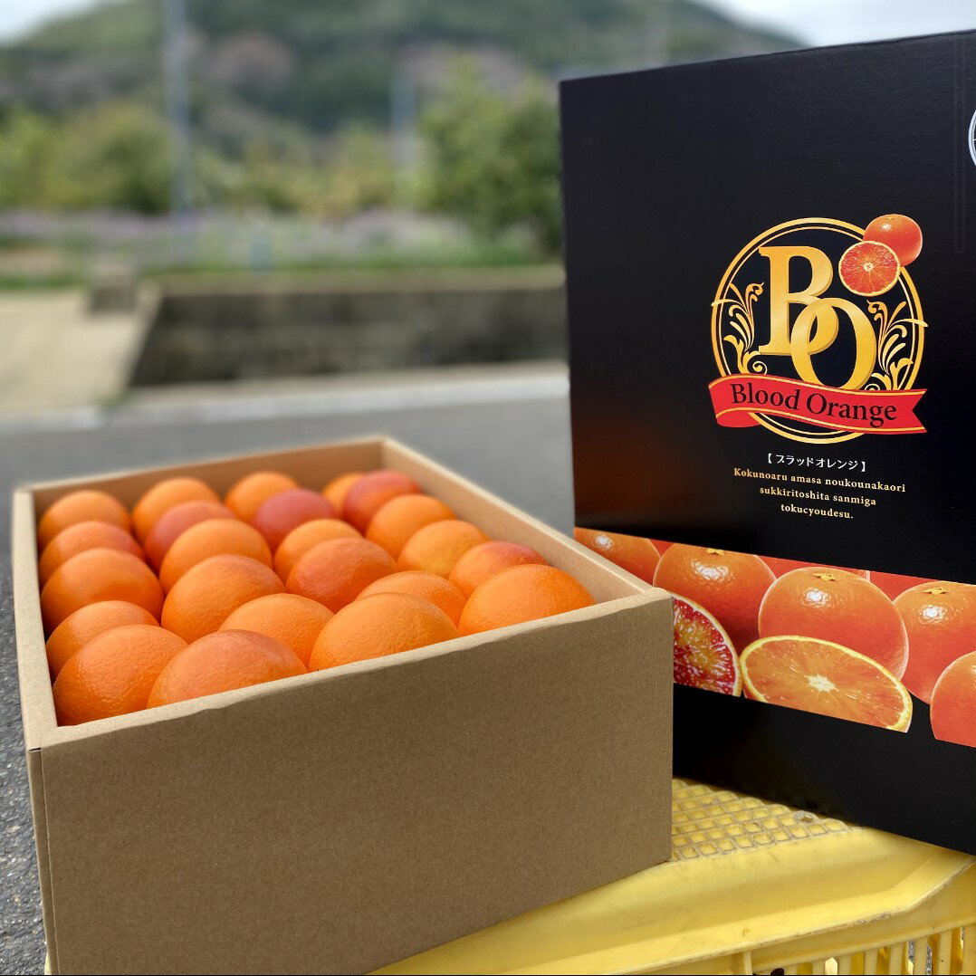 N-119 山内農園のブラッドオレンジ　5kg　みかん ミカン 蜜柑 柑橘 たらみかん 太良みかん ブラッドオレンジ オレンジ 温州みかん 国産 佐賀県産 太良町 こだわり 産地直送 贈答品 詰め合わせ 期間限定 甘熟 極甘