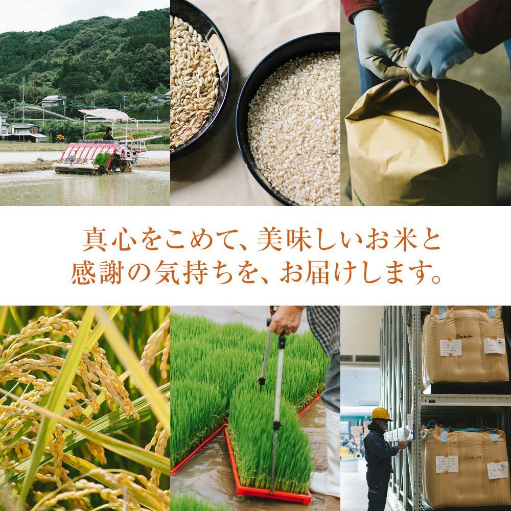【ふるさと納税】【特A評価獲得！令和7年産】長崎県産 にこまる 10kg（5kg×2袋）セット | お米 にこまる ごはん 精米 長崎県 国産 九州 支援 緊急支援 米 お米 こめ 白米 10キロ ブランド米 特産品 取り寄せ 使い切り 楽天ふるさと 名産品 - 画像3