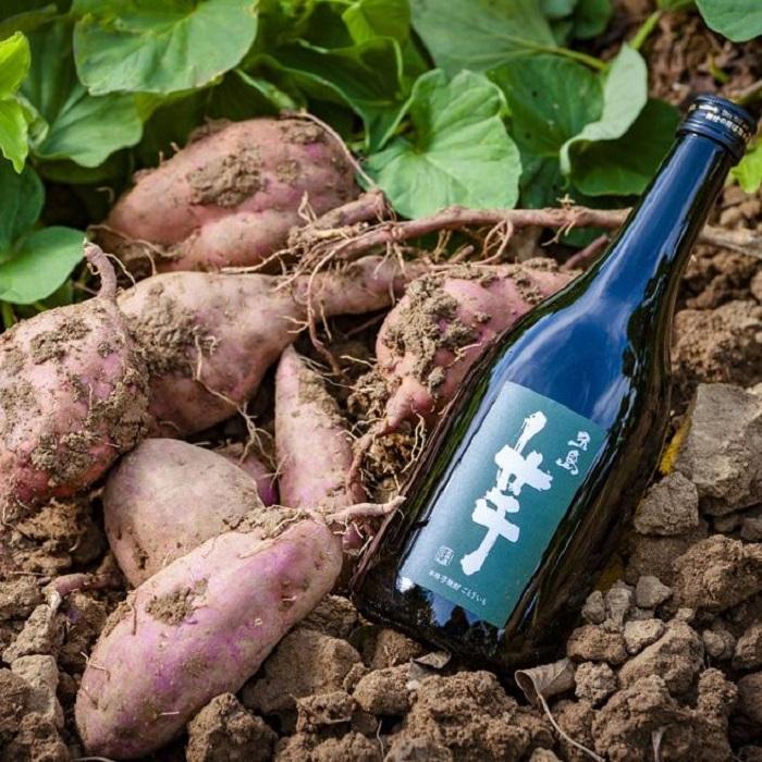 【ふるさと納税】本格焼酎 五島麦・五島芋 720ml×2本 飲み比べ セット＜五島列島酒造＞ | 麦焼酎 芋焼酎 720 五島市 長崎県 長崎 九州 麦 芋 むぎ焼酎 いも焼酎 アルコール飲料 瓶 ご当地 返礼品 お土産 お取り寄せ 取り寄せ サムネイル3