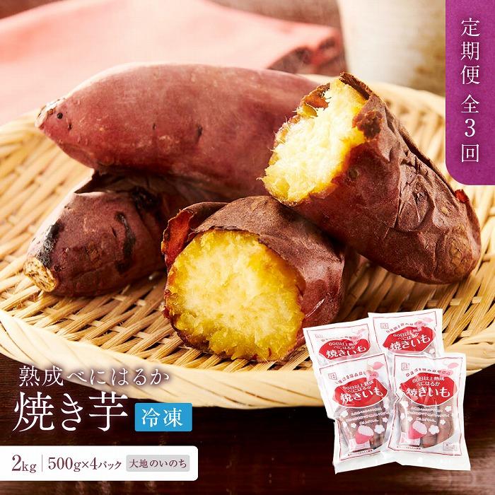 【定期便 全3回】蜜がたっぷり♪熟成べにはるか 焼き芋（冷凍）2kg（500g×4P）＜大地のいのち＞ | 干し芋 ほしいも サツマイモ さつまいも 紅はるか スイーツ おやつ 国産 お土産 お取り寄せ 小分け お楽しみ 長崎 菓子 野菜 人気 おすすめ 送料無料 2キロ
