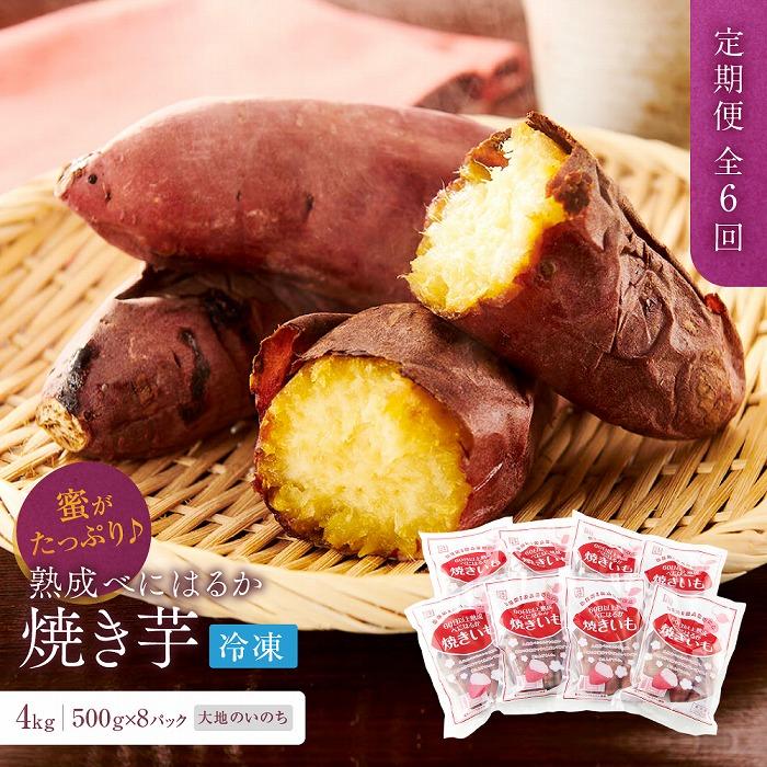 【定期便 全6回】蜜がたっぷり♪熟成べにはるか 焼き芋（冷凍）4kg（500g×8P）＜大地のいのち＞ | 干し芋 ほしいも サツマイモ さつまいも 紅はるか スイーツ おやつ 国産 お土産 お取り寄せ 小分け お楽しみ 長崎 菓子 野菜 人気 おすすめ 送料無料 4キロ