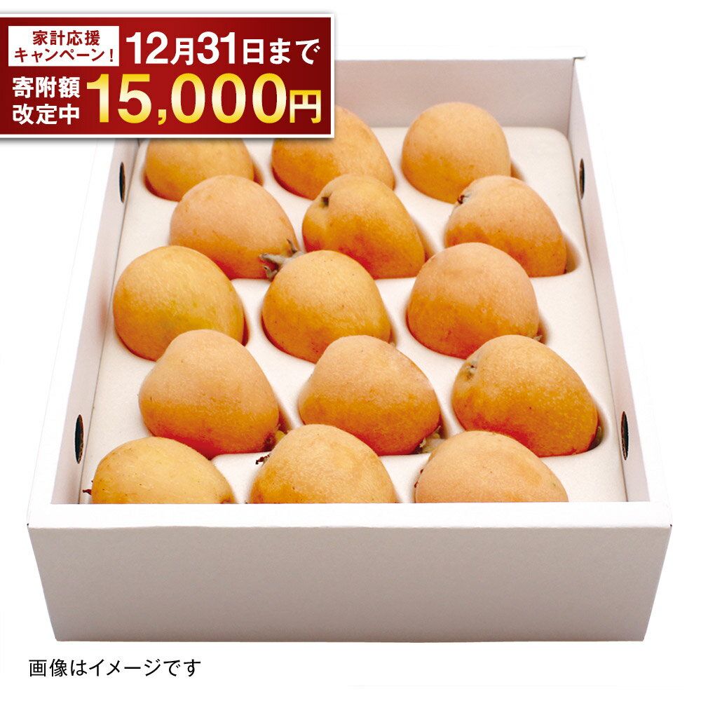 【期間限定！～12月31日まで寄附額改定中】先行受付 茂木 びわ『なつたより』2Lサイズ 15玉入り | 15000円 1万5000円 1キロ箱 1kg 枇杷 ビワ 果物 果実 フルーツ 長崎県産 国産 九州 長崎県 長崎市 送料無料【2026年5月下旬～6月上旬迄発送予定】