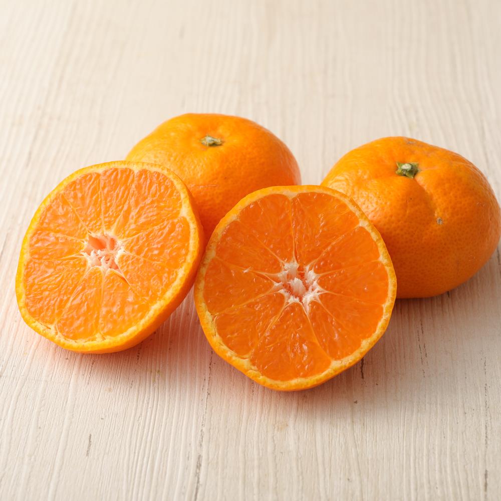 長崎県産 温州みかん 5kg 個数 サイズ おまかせ | 蜜柑 ミカン 柑橘 くだもの 果物 旬 フルーツ 国産 アフター保証 送料無料 【2025年10月上旬～2026年1月下旬迄発送予定】