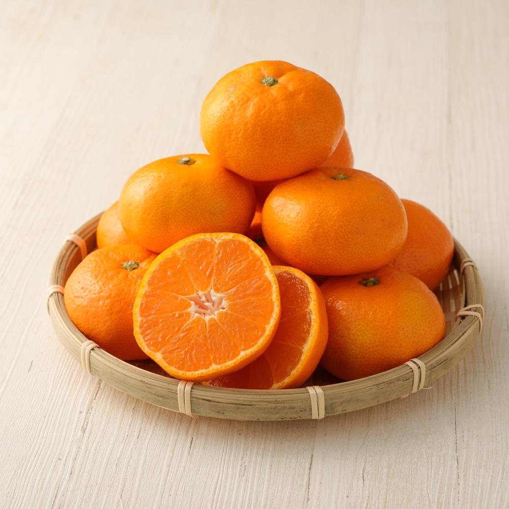 【ふるさと納税】長崎県産 温州みかん 5kg 個数 サイズ おまかせ | 蜜柑 ミカン 柑橘 くだもの 果物 旬 フルーツ 国産 アフター保証 送料無料 【2025年10月上旬～2026年1月下旬迄発送予定】 サムネイル3