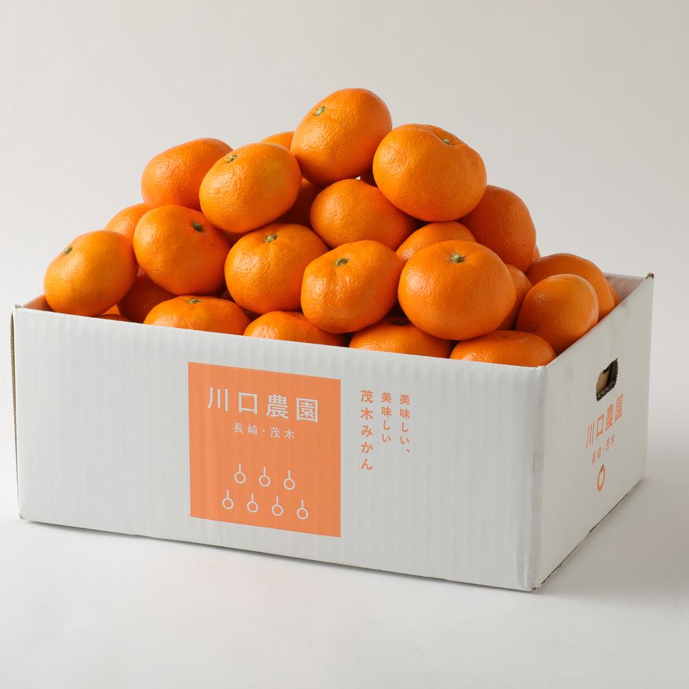 【ふるさと納税】長崎県産 温州みかん 10kg ( 5kg × 2箱 ) 個数 サイズ おまかせ | 果物 くだもの フルーツ みかん 蜜柑 柑橘 かんきつ 国産 旬 アフター保証 送料無料【2025年10月上旬～2026年1月下旬迄発送予定】 サムネイル2