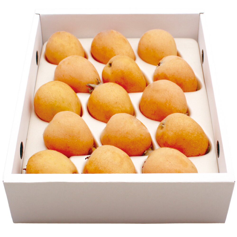 先行予約 茂木 びわ『なつたより』 3Lサイズ 15玉入り | フルーツ 果物 くだもの 枇杷 送料無料【2026年5月下旬～6月上旬迄発送予定】