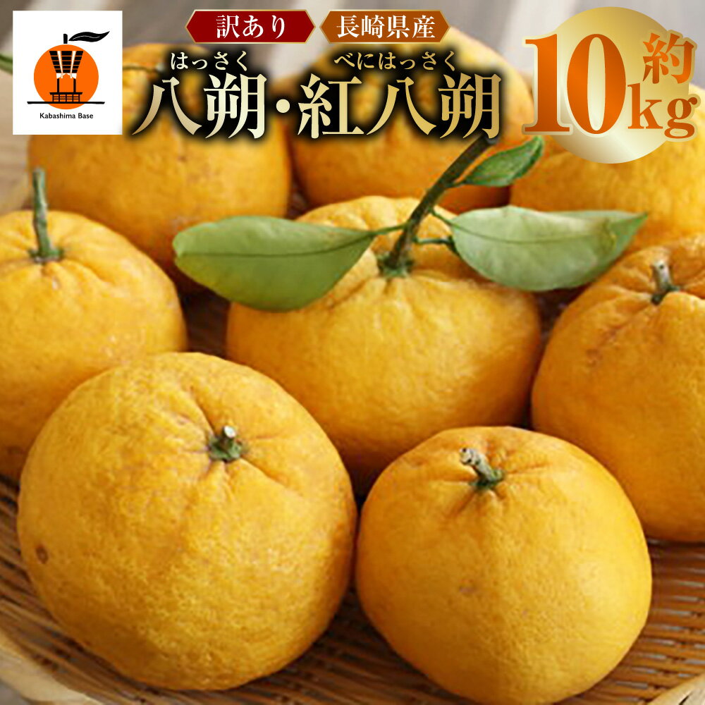 【訳あり】長崎県産 甘夏・紅甘夏みかん 約10kg みかん ミカン 蜜柑 柑橘類 中型柑橘 フルーツ くだもの 果物 果実 国産 長崎県 長崎市 送料無料 【2026年2月上旬～3月下旬迄発送予定】